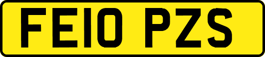 FE10PZS