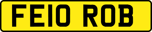 FE10ROB