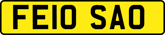 FE10SAO