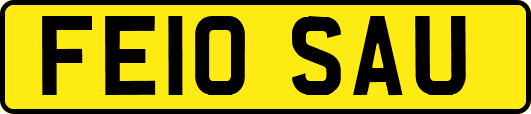 FE10SAU