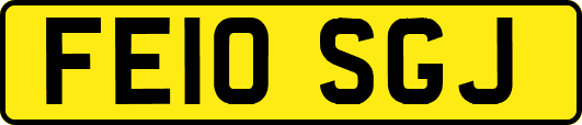 FE10SGJ
