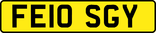 FE10SGY