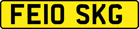FE10SKG