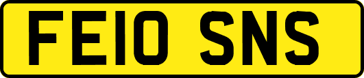 FE10SNS