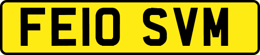 FE10SVM