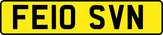 FE10SVN