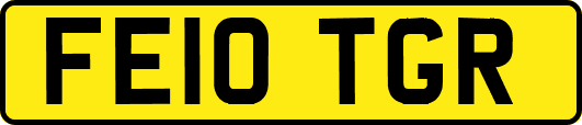 FE10TGR