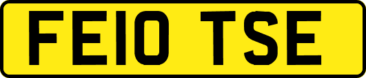 FE10TSE