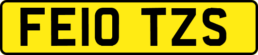 FE10TZS