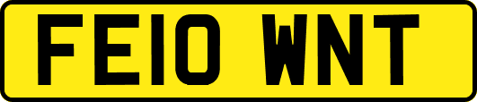 FE10WNT
