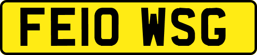FE10WSG