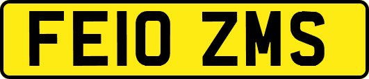 FE10ZMS