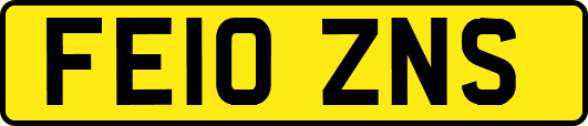 FE10ZNS