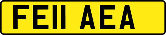 FE11AEA