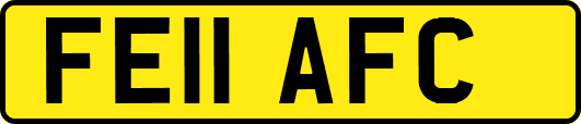 FE11AFC