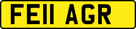 FE11AGR