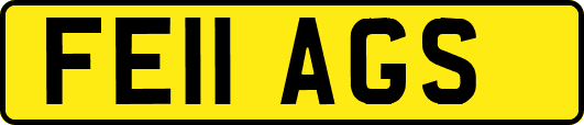 FE11AGS