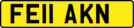 FE11AKN