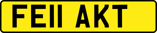 FE11AKT