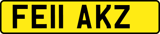 FE11AKZ