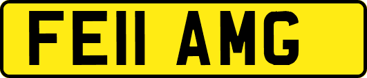 FE11AMG