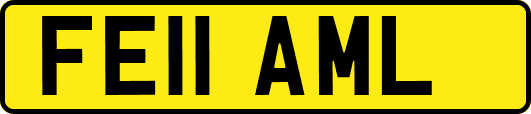 FE11AML