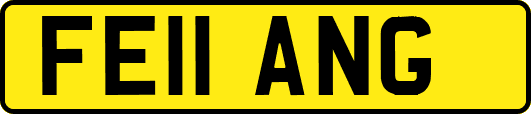 FE11ANG