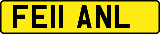 FE11ANL