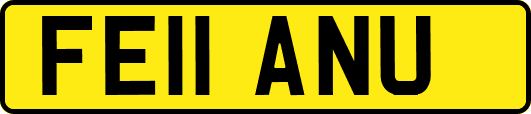 FE11ANU