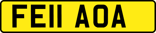 FE11AOA