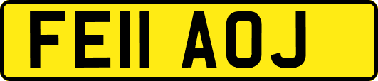FE11AOJ