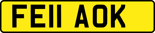 FE11AOK