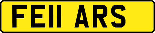 FE11ARS