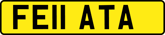FE11ATA