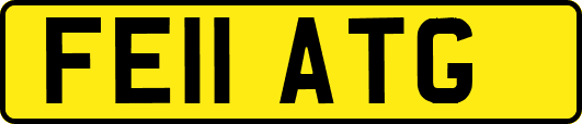 FE11ATG