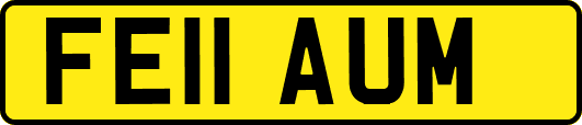 FE11AUM