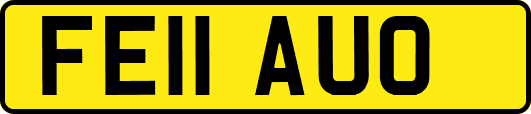 FE11AUO