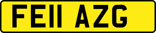 FE11AZG