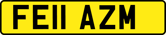 FE11AZM