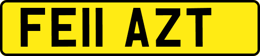 FE11AZT