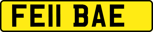 FE11BAE