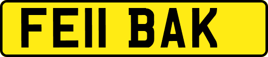 FE11BAK
