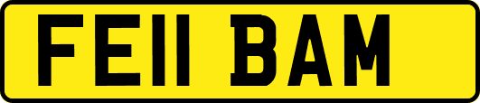 FE11BAM