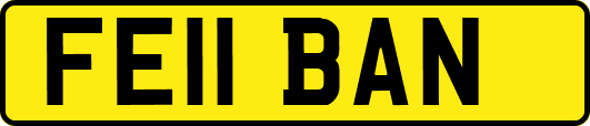 FE11BAN