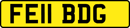FE11BDG