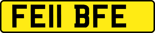 FE11BFE