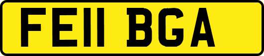 FE11BGA