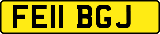 FE11BGJ