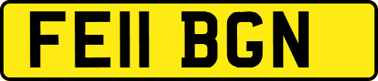 FE11BGN