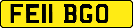 FE11BGO